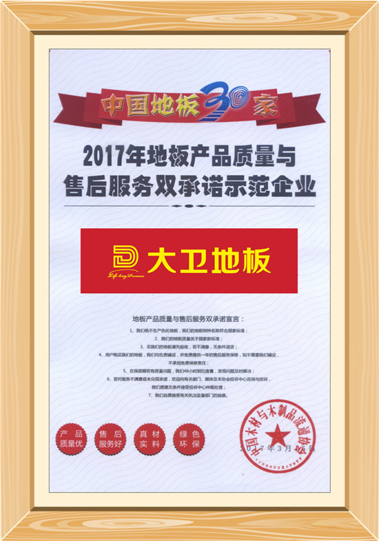 华体会网页版(中国)地板荣获“地板产品质量与售后服务双承诺示范企业”.jpg